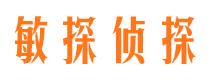 宁城侦探公司